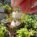 A close-up of a hand holding a pair of silver dangle earrings with white butterfly and bell-shaped flower charms, set against a blurred garden background.