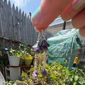 A hand with pastel nail polish holds up a pair of dangling earrings with purple flower charms and silver beads, set against a busy outdoor garden background with potted plants and a fence.